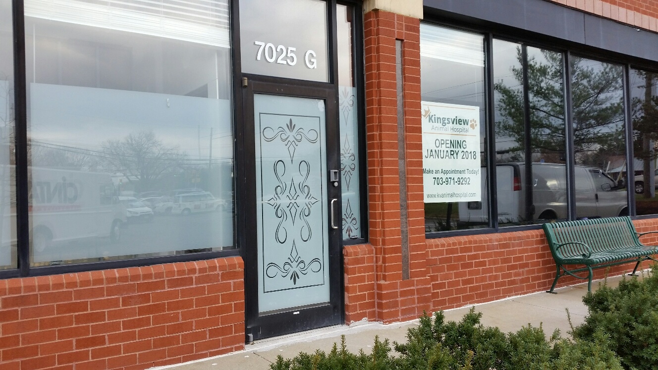 DC providing Window Tinting Service